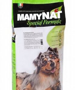 מאמינט Mamynat