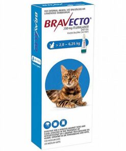 Alternative view of ברבקטו Bravecto